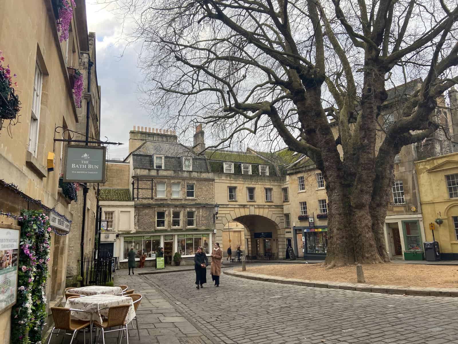 A square with cobblestones, a large tree and low rise buildings in the city of Bath, England, UK