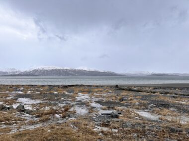 A rocky, icy beach extends toward a bay, with snow-covered mountains visible in the distance. The sky is dark and the scene looks cold and wet.