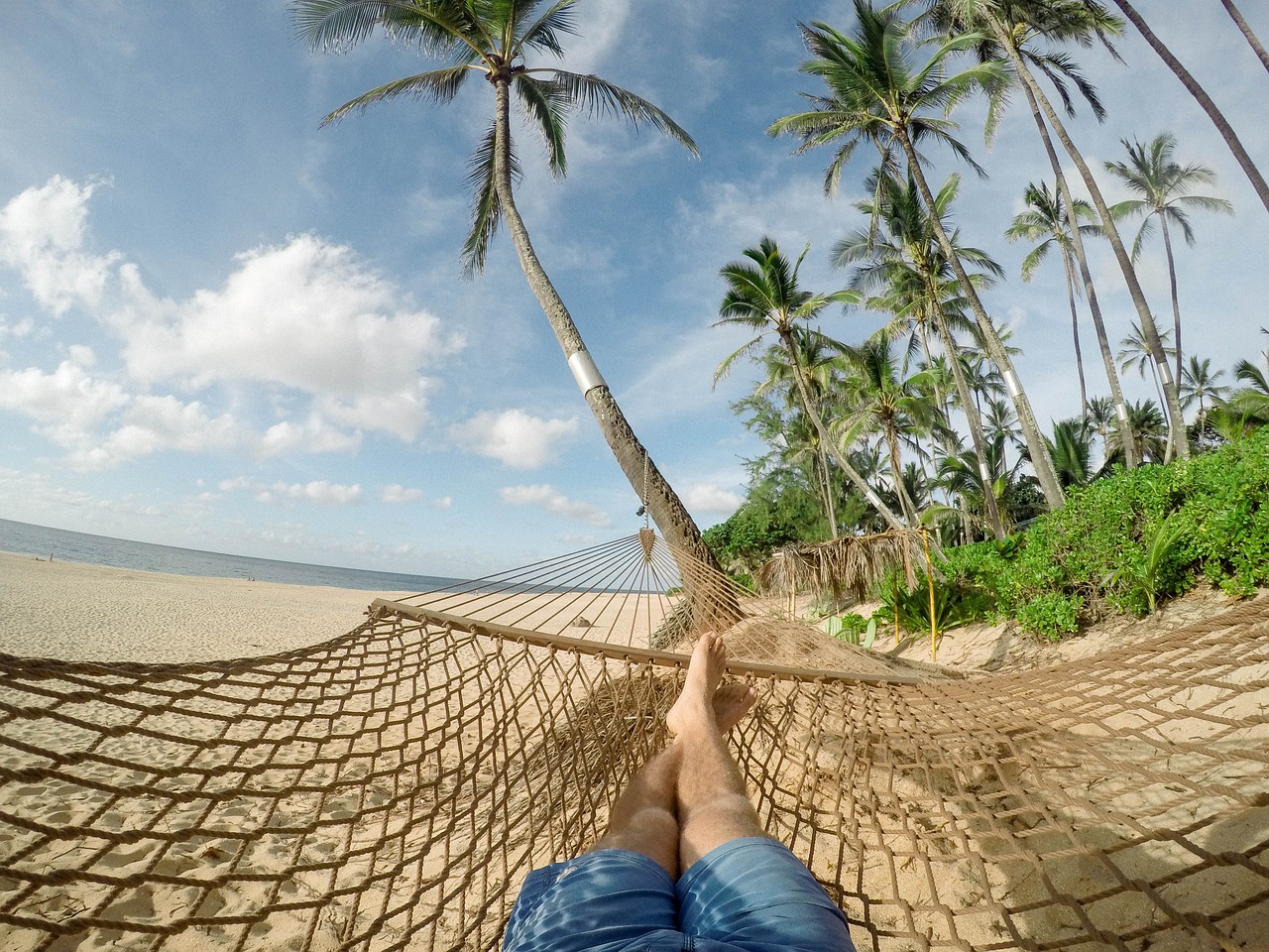 Relax in a hammock on the beach