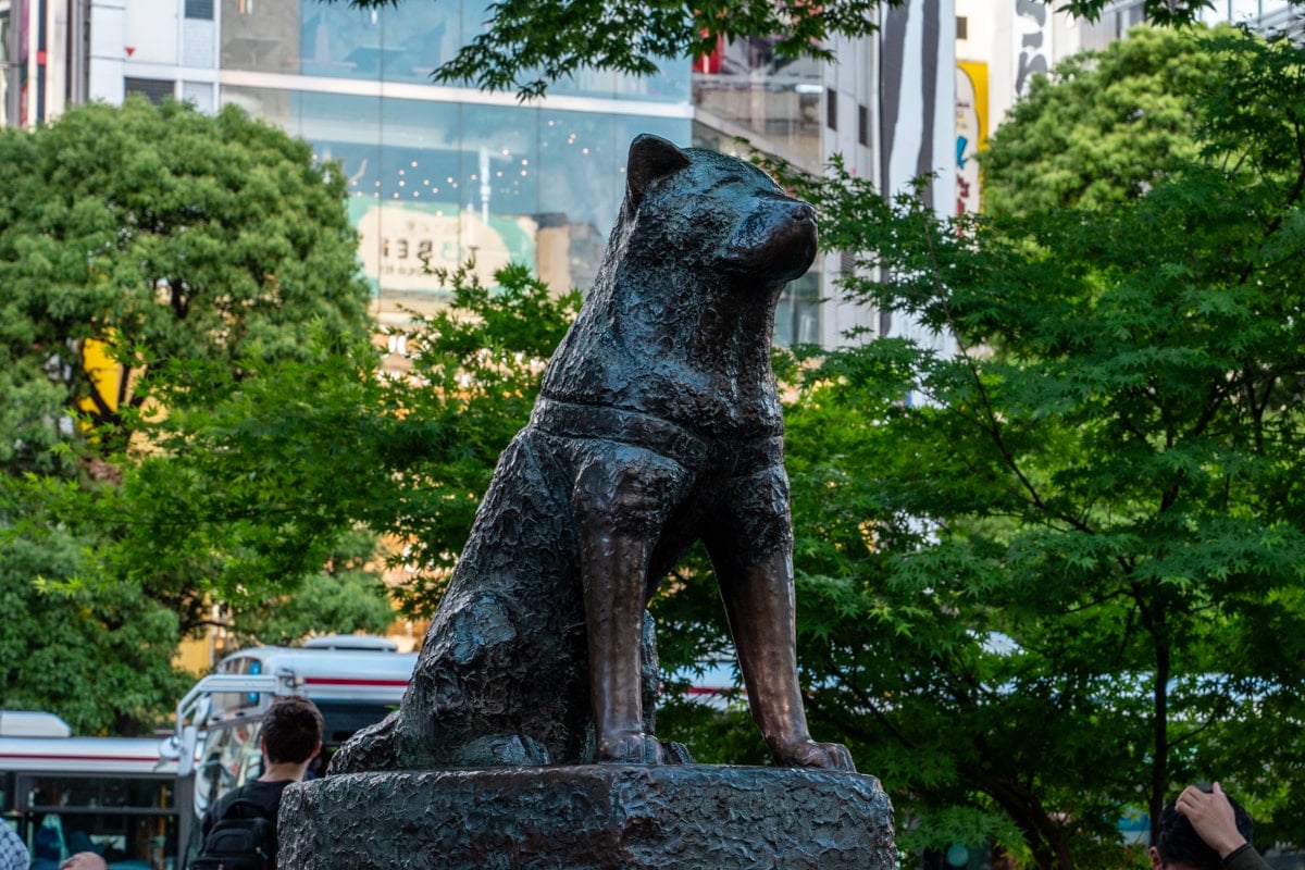 Hachiko statue in Shibuya Scramble Square, Tokyo.