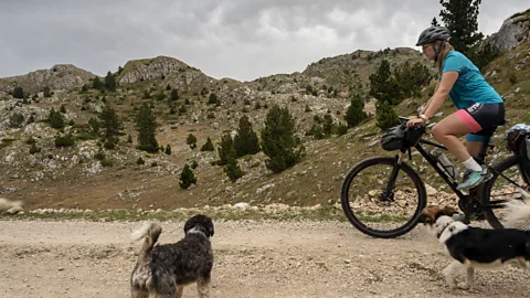 Joanna Chmara The Trans Dinarica cuts through national parks, Unesco sites and remote villages filled with furry friends (Credit: Joanna Chmara)