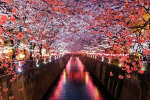 When is the Cheapest Time to Fly to Japan: Your Guide to Budget Travel - Travel Noire