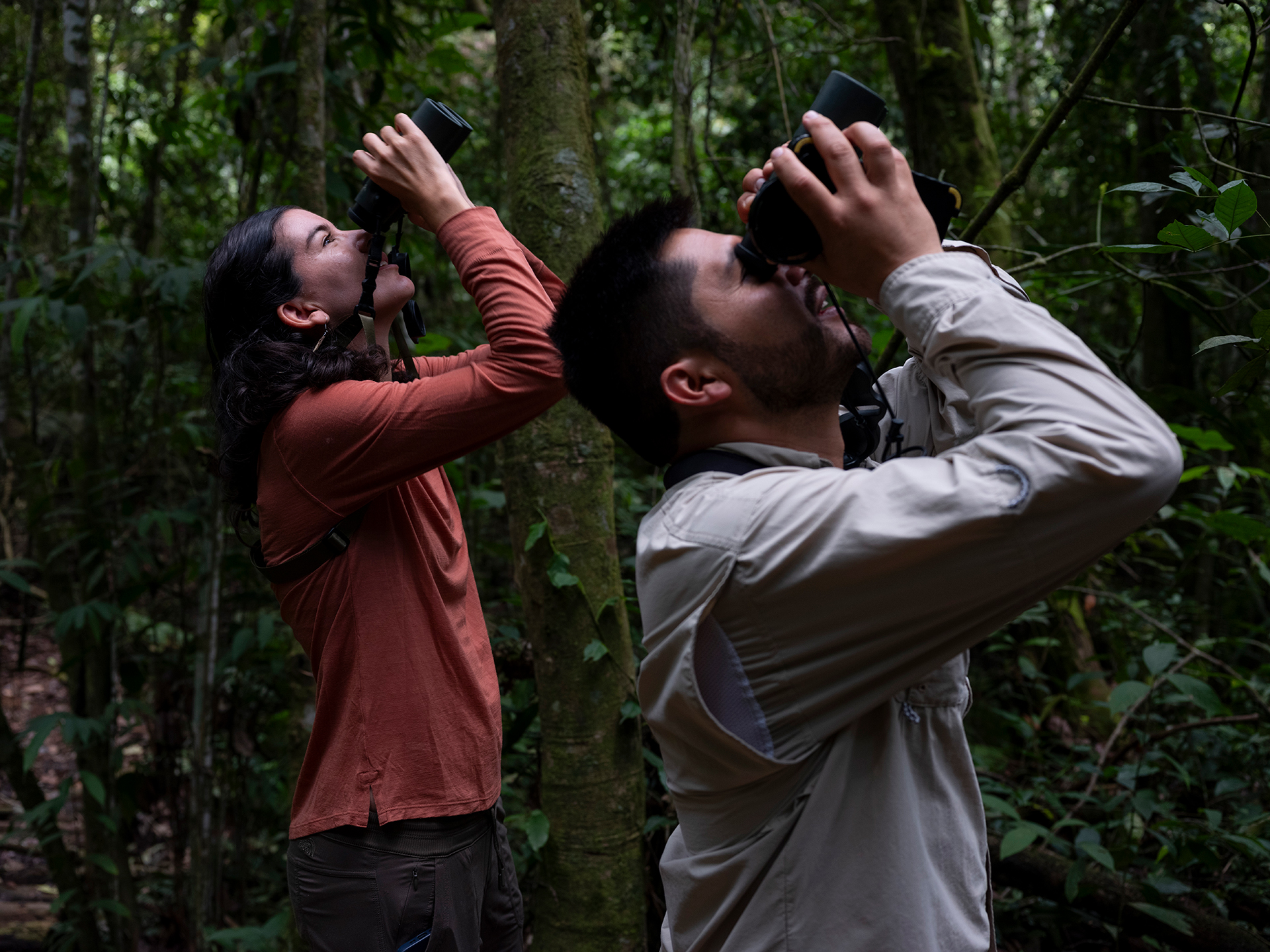 two people in a forest looking through binoculars toward the sky