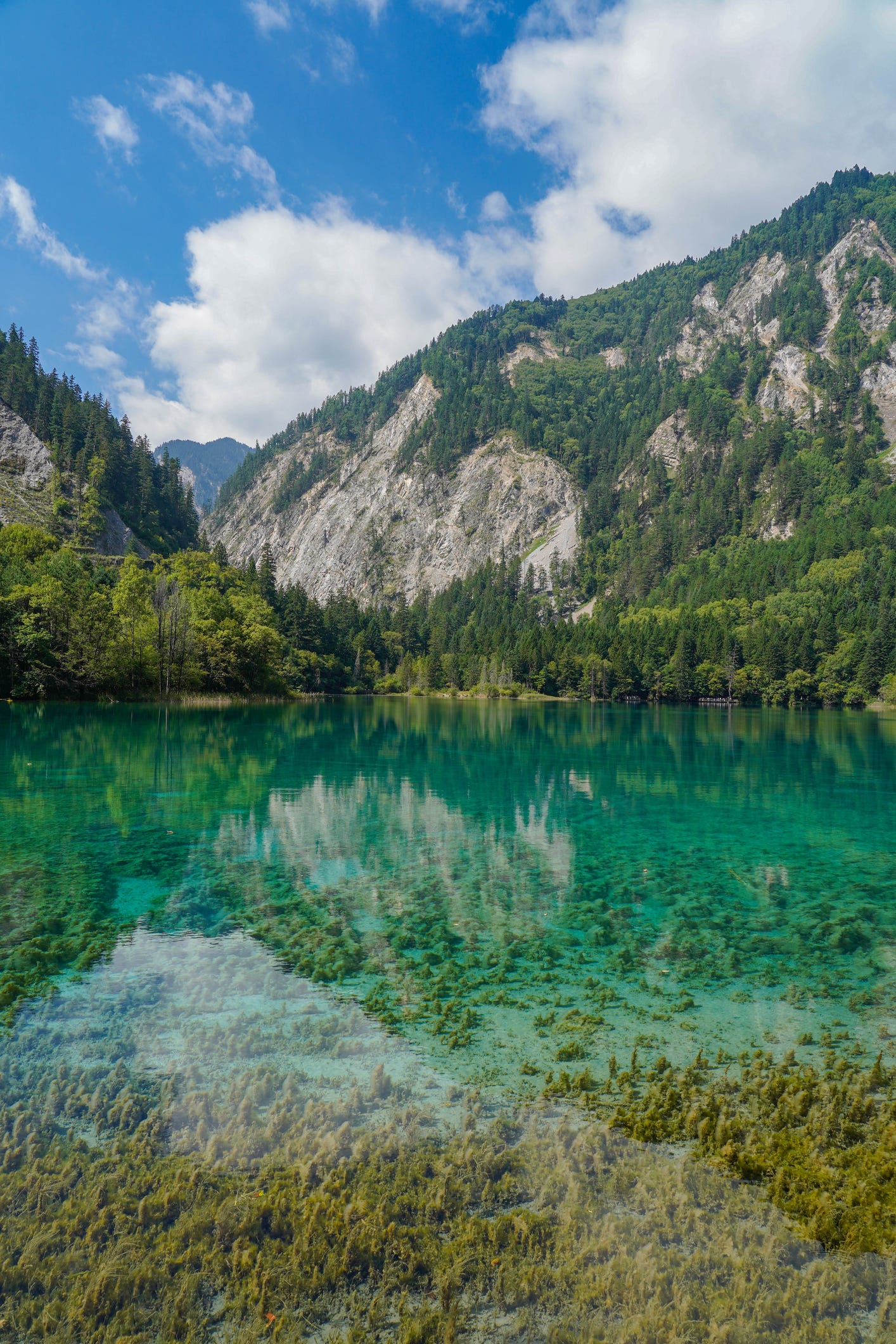 the colorful blue lake view in jiuzhai valley national park, sichuan, china