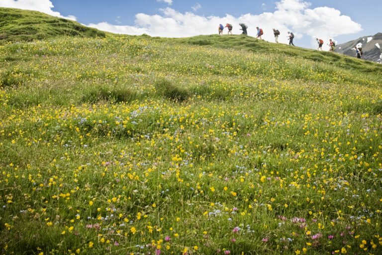 Your guide to hiking the Tour du Mont Blanc - Lonely Planet Travel News