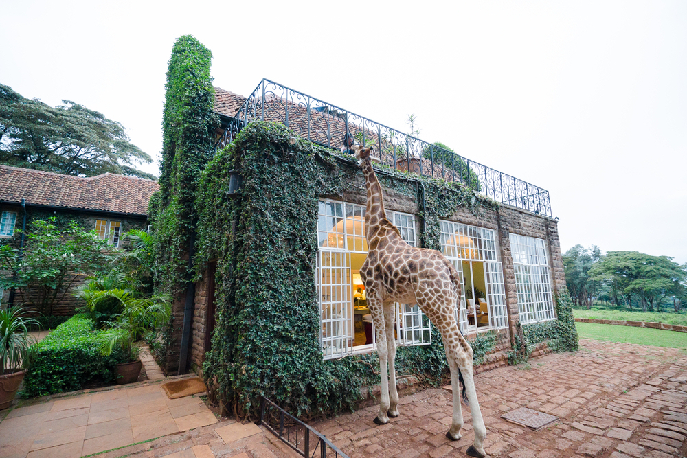 Giraffe Manor at Nairobi, Kenya.