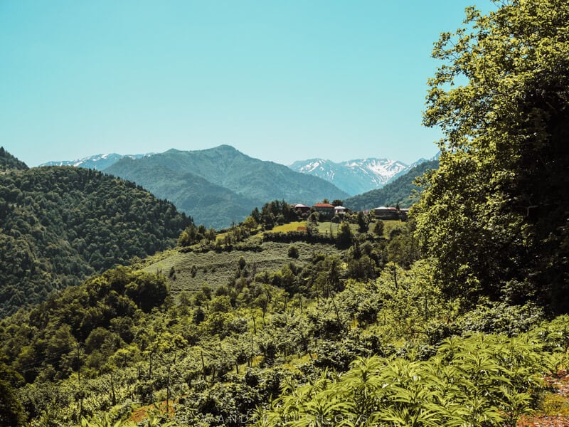 Green hills in Machakhela, a national park in the south of Georgia.