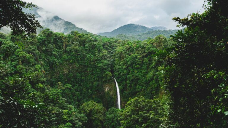 A Quick Guide to Our Favorite Costa Rica Waterfalls