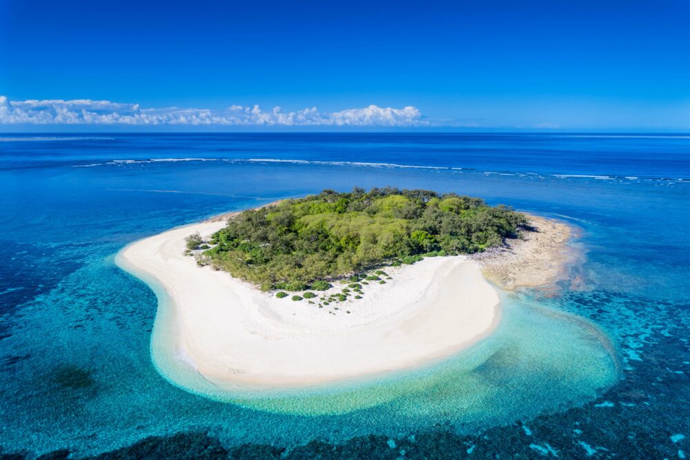 Wilson Island Great Barrier Reef Australia