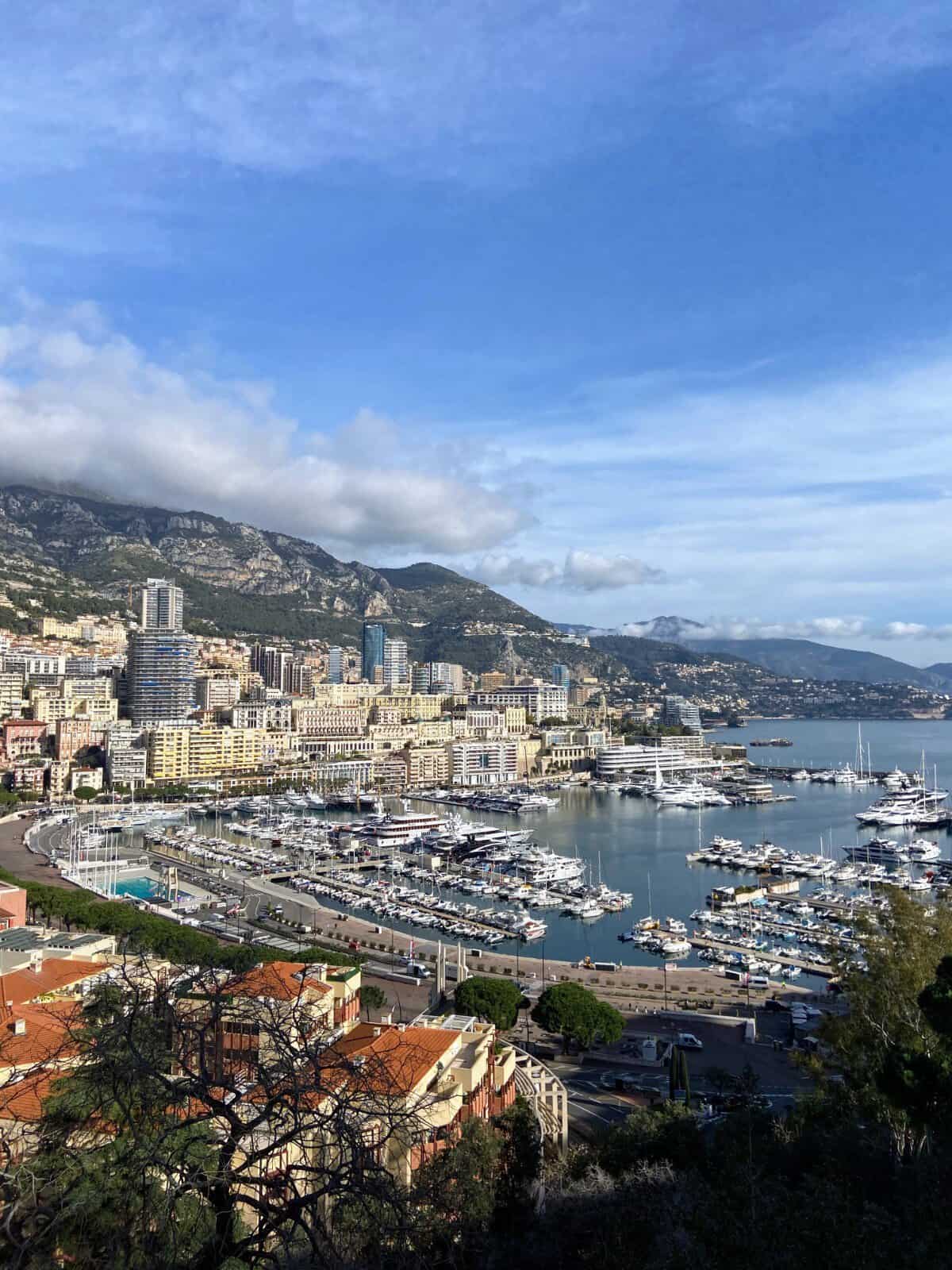 View of Monaco with the port and boats in the distance and buildings on a hill