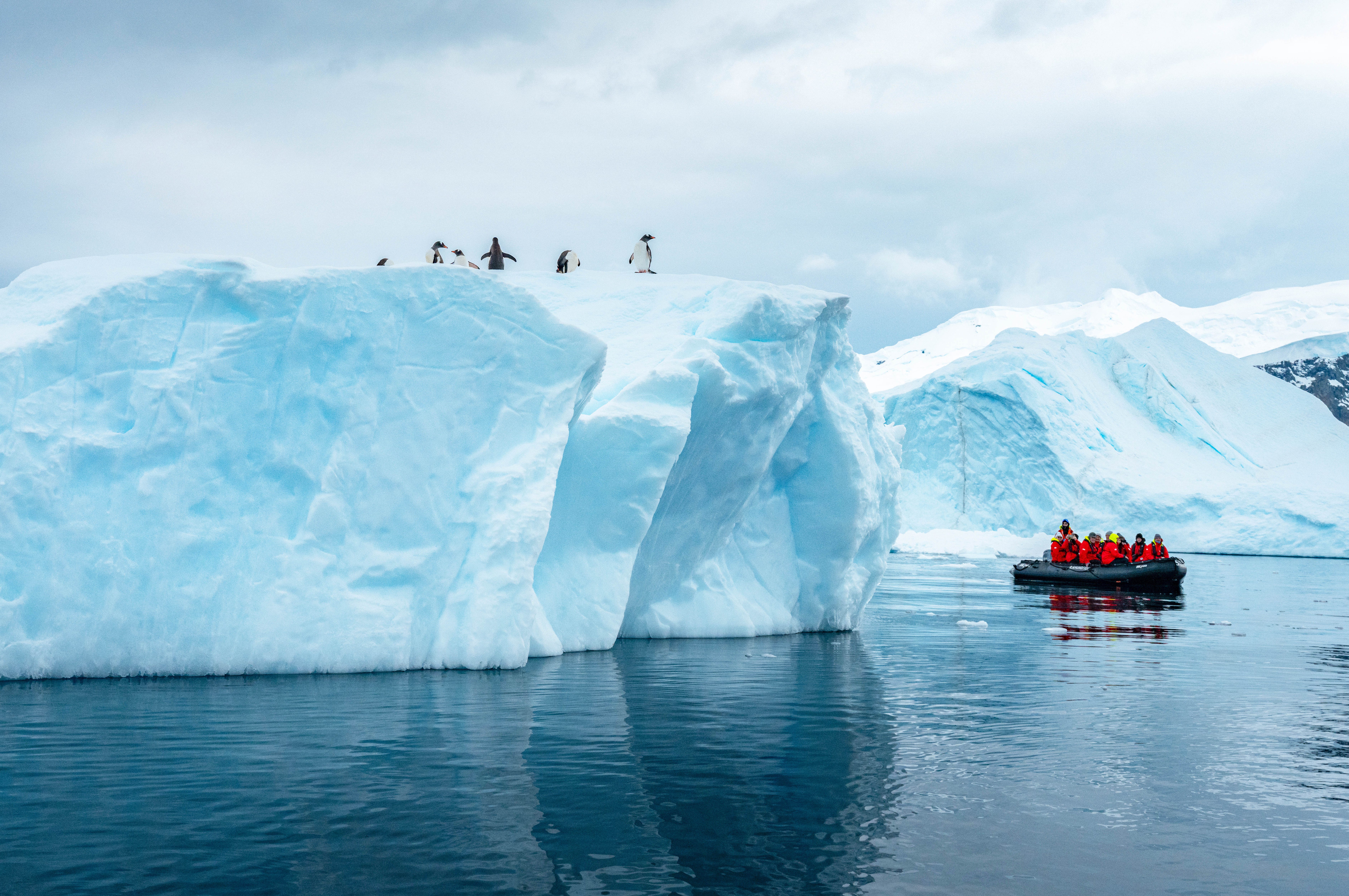 hurtigruten antarctica