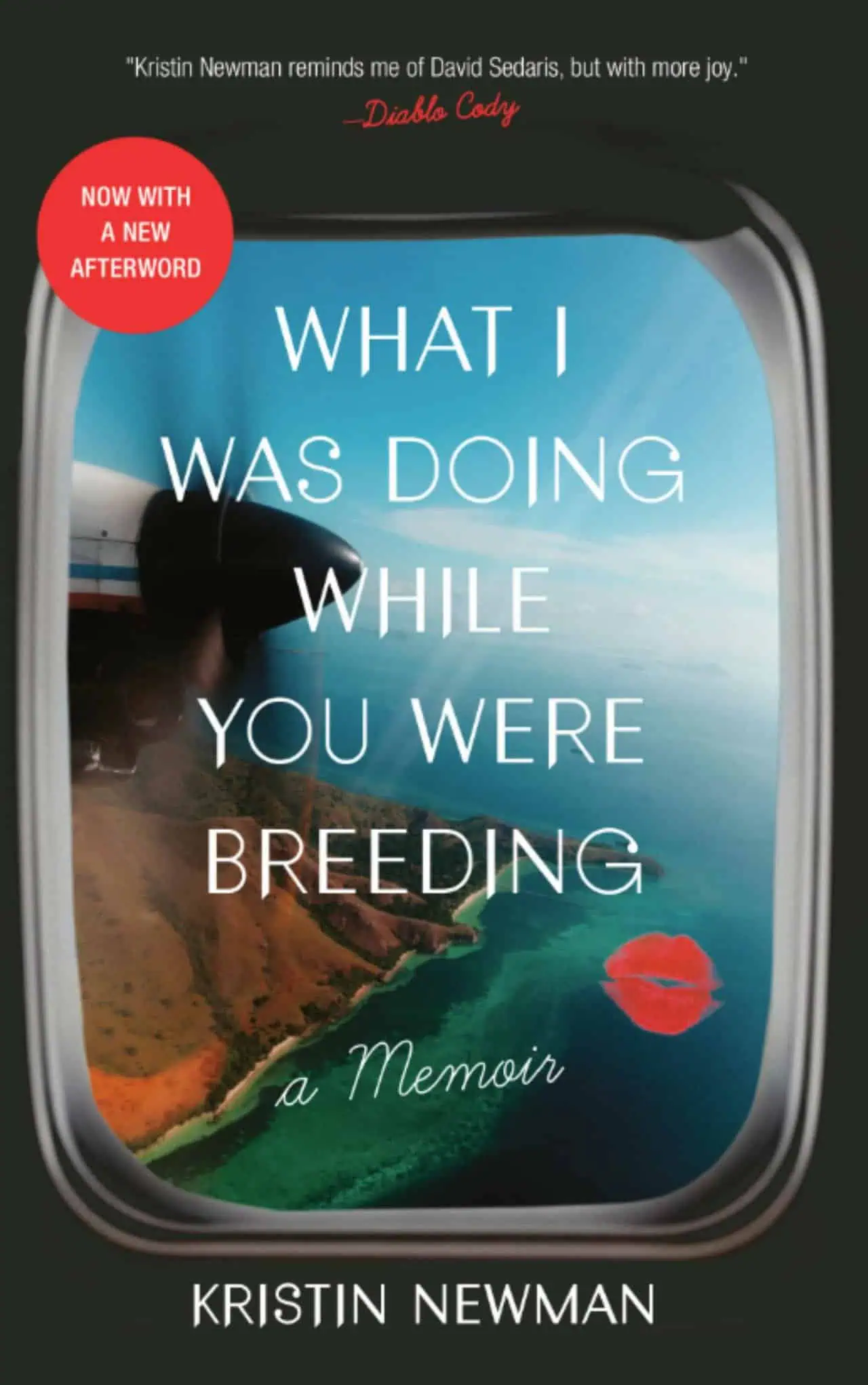 What I Was Doing While You Were Breeding by Kristin Newman