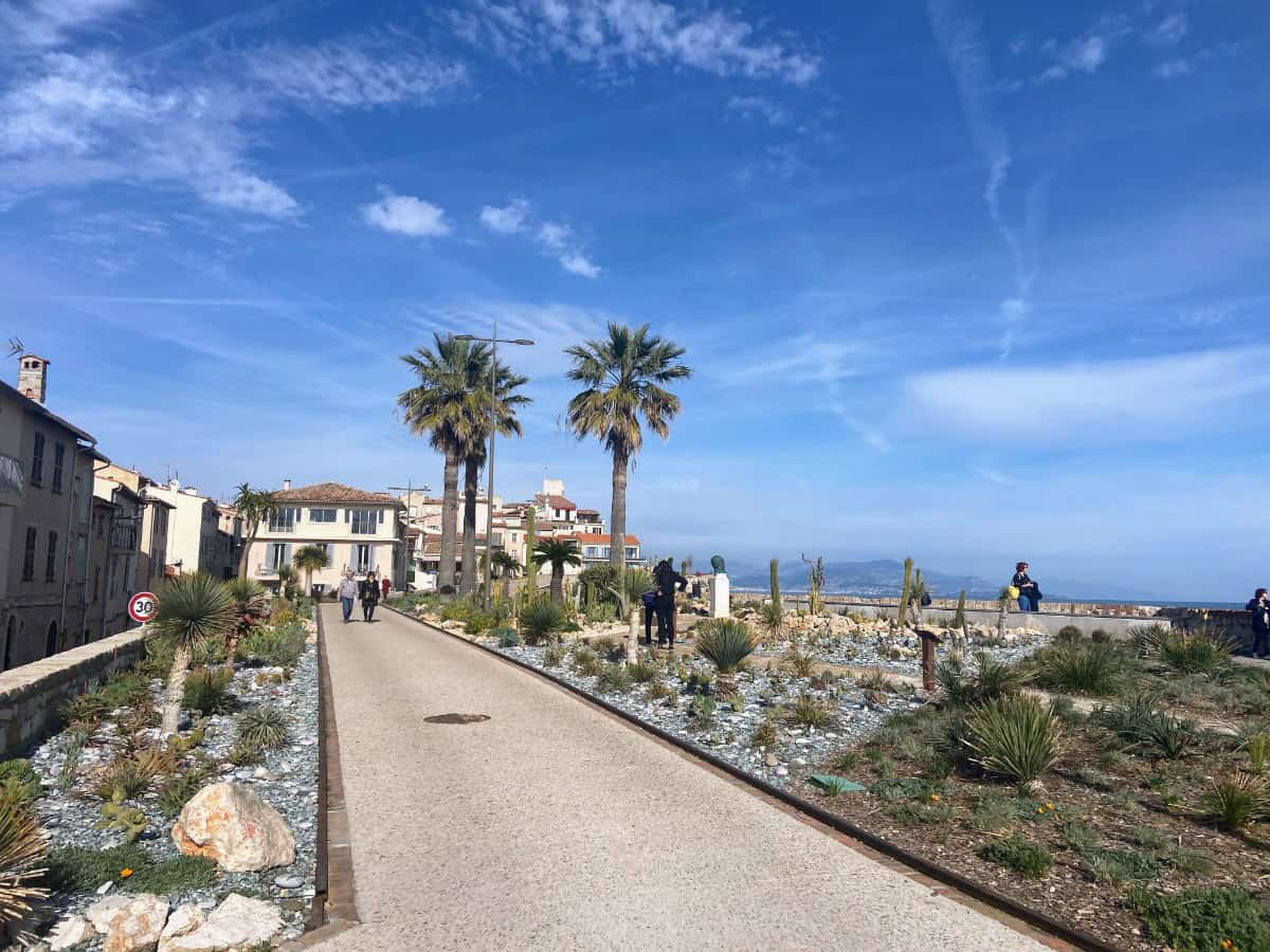 Boardwalk in Antibes with palm trees and outdoor artwork