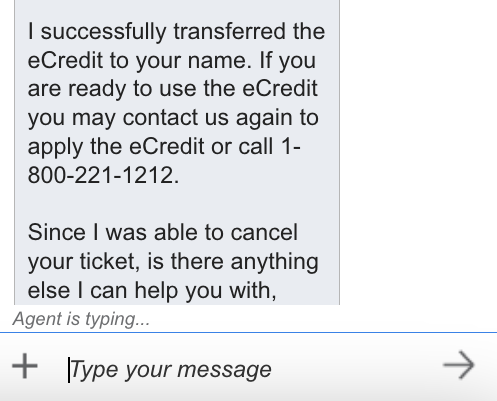 A customer service representative confirming the issue of an e-credit through the Delta chat function