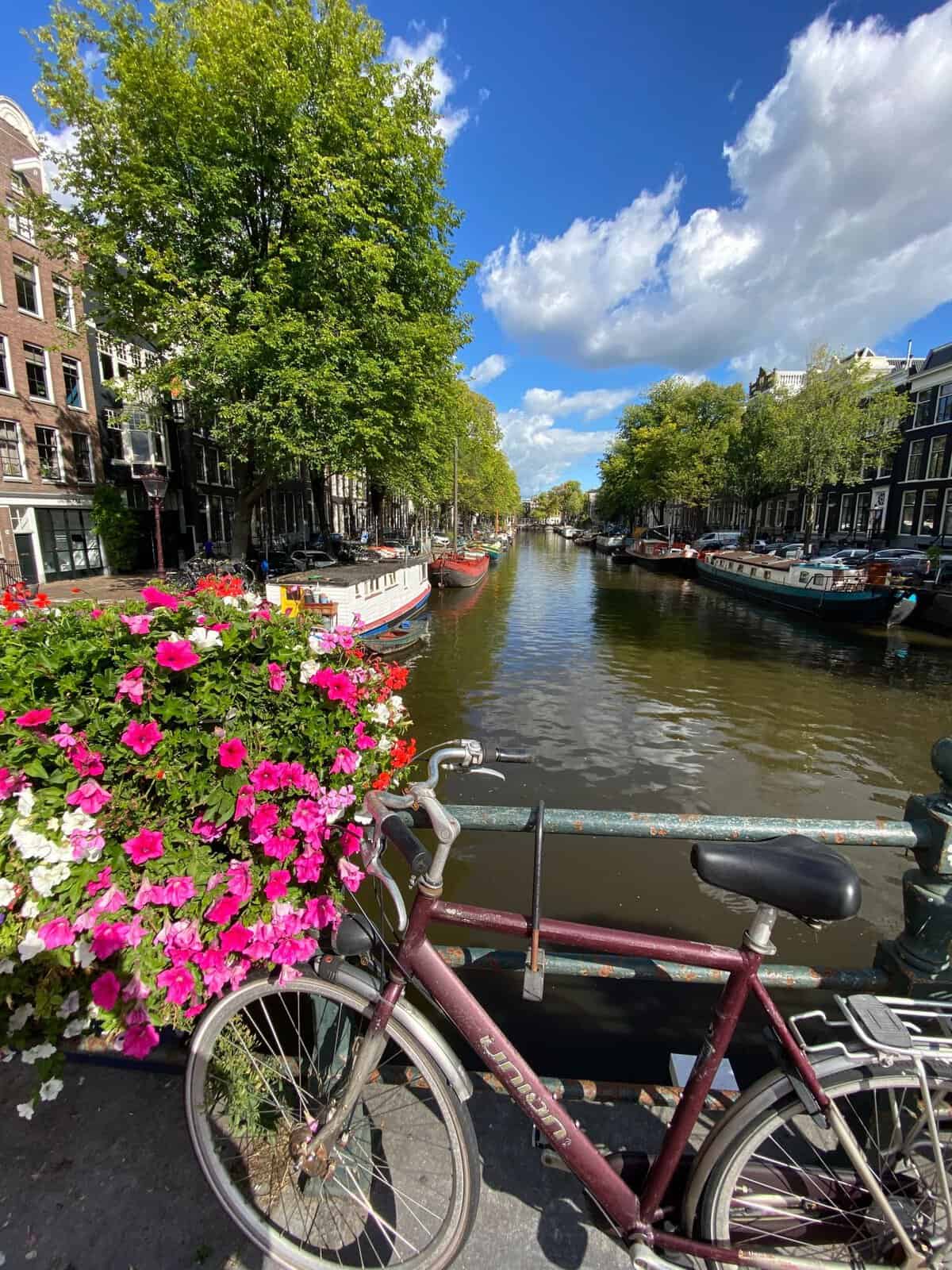 amsterdam canal view with bike and flower basket