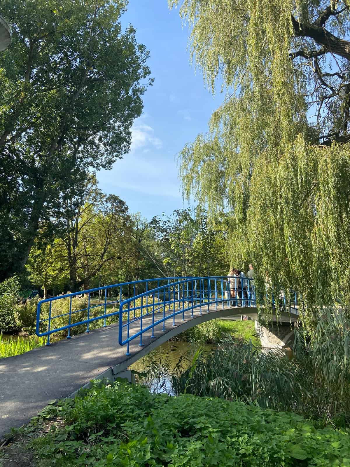 A blue bridge going over the water with willow trees hanging over it in Vondel Park, Amsterdam