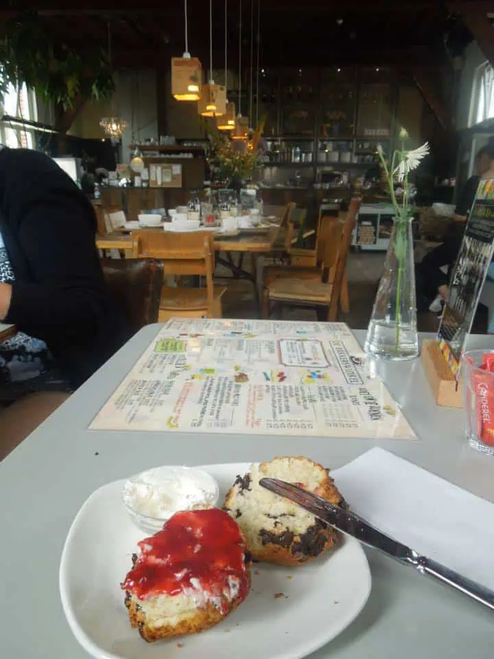 scones from Bakkerswinkel in Westerpark in Amsterdam, The Netherlands