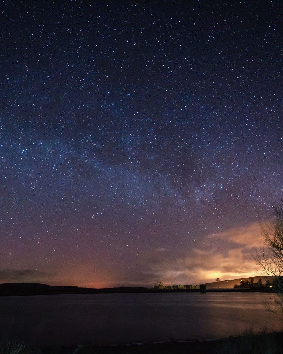 a body of water with a tree and a starry sky above