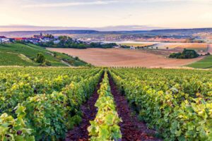 11 Essential Things to Do in Bordeaux, France