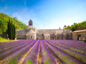 New: Get a 25% Bonus When Transferring Citi Points to Air France/KLM Flying Blue!