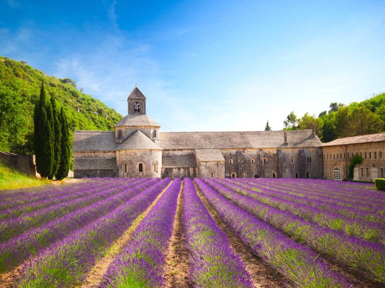 Top tips for business travellers heading to Paris this summer | Editorial