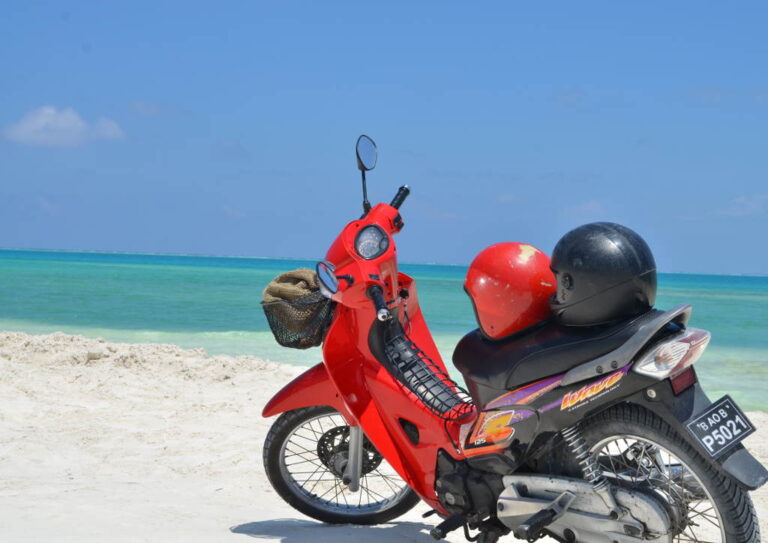 Slow down to make your holiday more sustainable