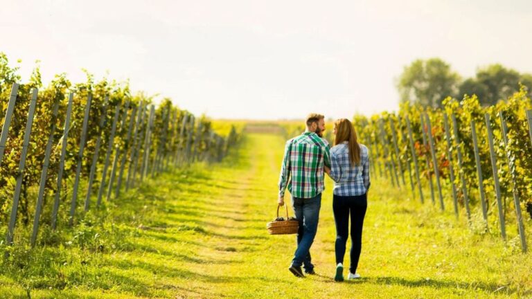 Overtourism Backlash: Is Slow Tourism Solution?