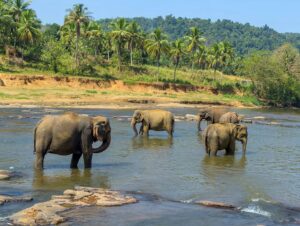 Here Are The Top Exciting, Cheap (And Overlooked) African Countries To Move Abroad