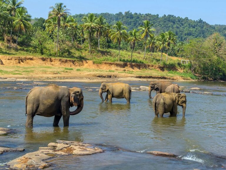 Here Are The Top Exciting, Cheap (And Overlooked) African Countries To Move Abroad